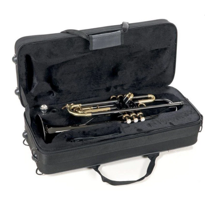 Bb-труба Roy Benson TR-101К RB701052 Изображение