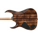 Электрогитара Ibanez RGAIX6U ABS Изображение