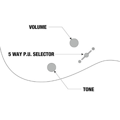 Электрогитара IBANEZ RGRT421 WK Изображение