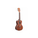 Укулеле KALA MAHOGANY CONCERT GLOSS UKULELE Изображение