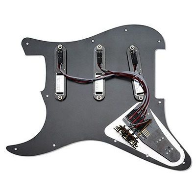 EMG RA2-Black - панель со звукоснимателями Изображение