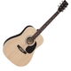 Акустическая гитара Encore EWP100N 4/4 Изображение