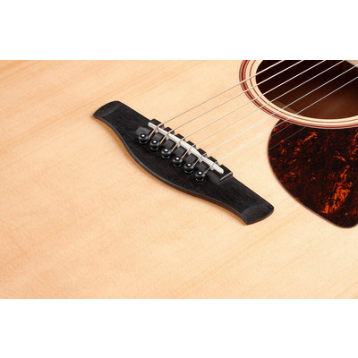 Гитара электроакустическая IBANEZ AAD100E Изображение