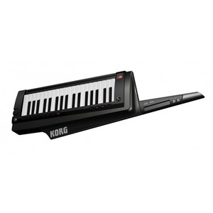 Синтезатор Korg RK-100S BK Изображение