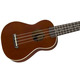 Укулеле Fender Ukulele Venice Soprano Natural Wn Изображение