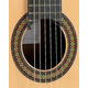 Класична гітара Alhambra 7PA Зображення