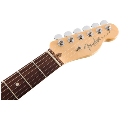 Электрогитара Fender American Professional Telecaster (Ash) Rw Nat (113060721) Изображение