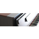 Цифровое пианино Kawai CA99B Изображение