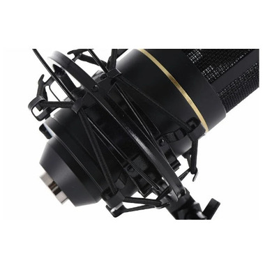 Студийный микрофон Marshall Electronics MXL 770 COMPLETE Изображение