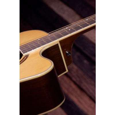 Електроакустична гітара Washburn AG70CE Зображення