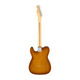 Електрогітара FENDER AMERICAN PERFORMER TELECASTER RW HONEY BURST Зображення
