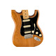 FENDER AMERICAN PRO II STRATOCASTER HSS MN NATURAL Электрогитара Изображение