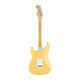 Електрогітара FENDER PLAYER STRATOCASTER MN BCR Зображення