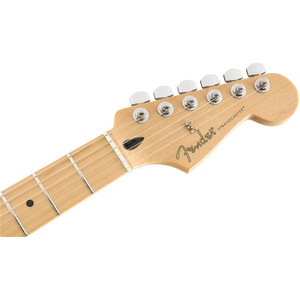 Электрогитара FENDER PLAYER STRATOCASTER MN BCR Изображение