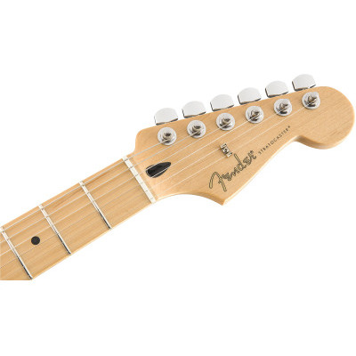Электрогитара FENDER PLAYER STRATOCASTER MN BCR Изображение