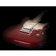 GODIN 041190 - Session Ltd Desert Red HG MN with Bag (Made in Canada) - Электрогитара Изображение