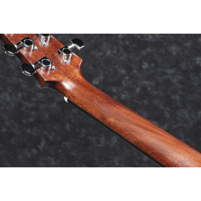 Гитара акустическая IBANEZ AAD100 Изображение