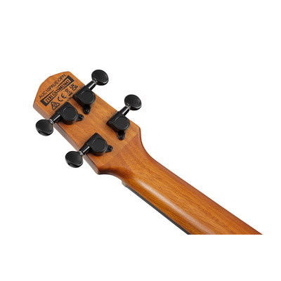 Укулеле со звукоснимателем IBANEZ AUC10E OPN Изображение