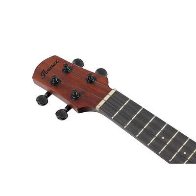 Укулеле IBANEZ AUC14 OVL Изображение