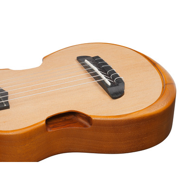 Укулеле IBANEZ AUP10N OPN Изображение