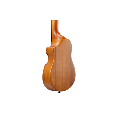 Укулеле IBANEZ AUP10N OPN Изображение