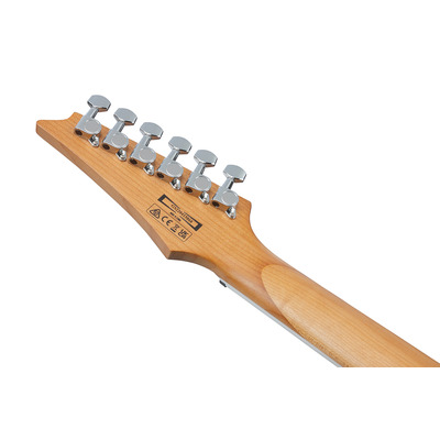 Электрогитара IBANEZ GRG220PA1 Изображение