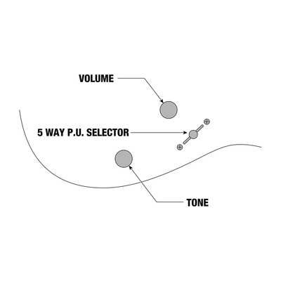 Электрогитара IBANEZ GRG220PA1 Изображение