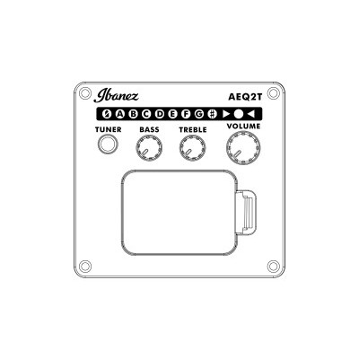 Гітара електроакустична IBANEZ PC14MHCE WK Зображення