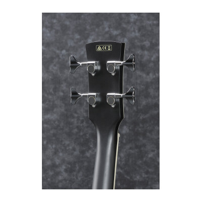 Бас-гитара акустическая IBANEZ PCBE14MH WK Изображение