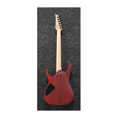 Електрогітара IBANEZ RG421PB CHF Зображення