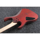 Електрогітара IBANEZ RG421PB CHF Зображення