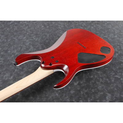 Электрогитара IBANEZ RGA42FM TGF Изображение