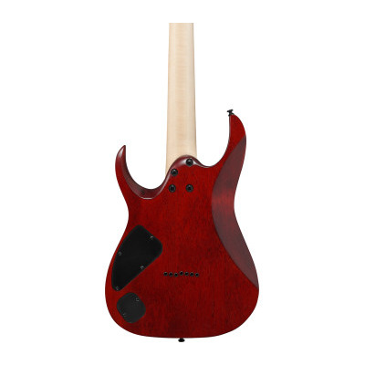 Електрогітара IBANEZ RGA742FM TGF Зображення