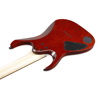 Електрогітара IBANEZ RGA742FM TGF Зображення