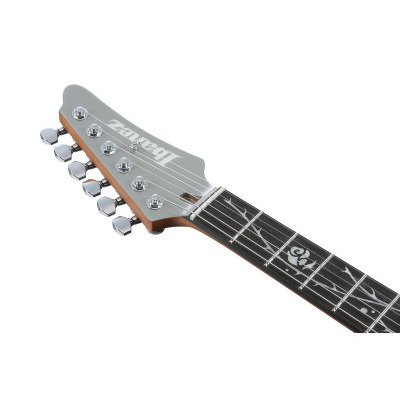 Электрогитара IBANEZ TOD10 Изображение