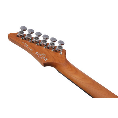 Электрогитара IBANEZ TOD10 Изображение