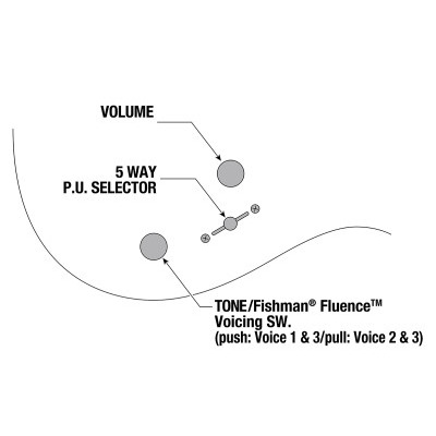 Электрогитара IBANEZ TOD10 Изображение