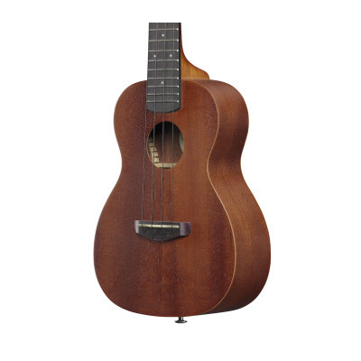 Укулеле IBANEZ UKC100-OPN Изображение