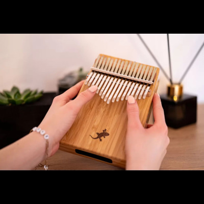 Калимба Ortega OKB2 (с кейсом и ключом для настройки) Изображение