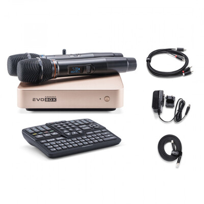 Караоке-система Studio Evolution EVOBOX Plus (Gold) Изображение