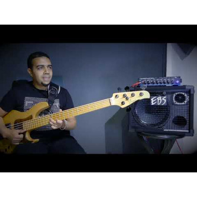 Усилитель басовый EBS Reidmar 502 Изображение