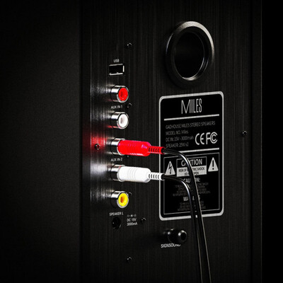 Полочная акустика Gadhouse Miles Изображение