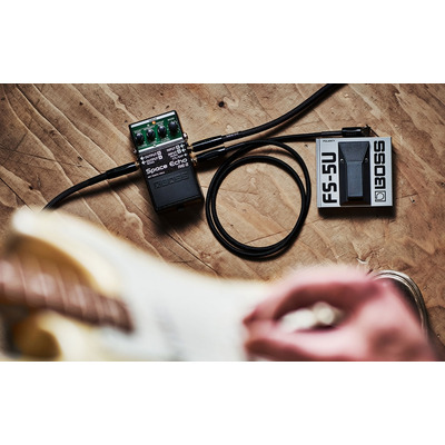 Педаль еффектов Boss RE-2 Изображение