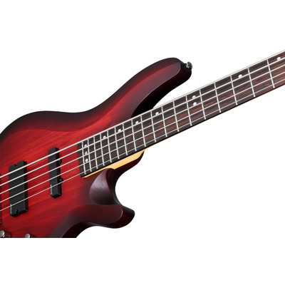 SCHECTER C-5 CUSTOM TCS - Бас гитара пятиструнная Изображение