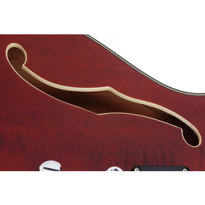 SCHECTER CORSAIR T.O.M. GWAL - Напівакустична електрогітара Зображення