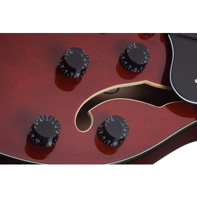 SCHECTER CORSAIR T.O.M. GWAL - Напівакустична електрогітара Зображення