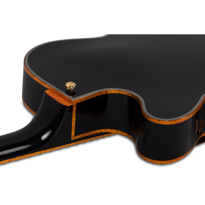 SCHECTER COUPE G.BLK - напівакустична електрогітара Зображення