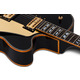 SCHECTER COUPE G.BLK - напівакустична електрогітара Зображення