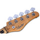 SCHECTER DIAMOND-J 5 PLUS AN - Бас гитара пятиструнная Изображение