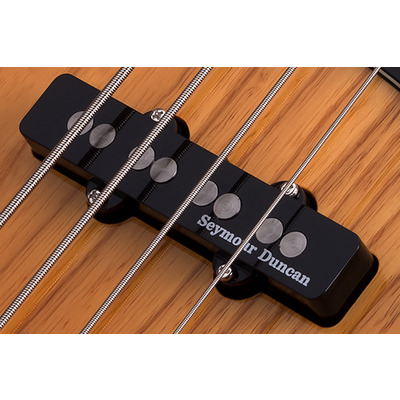 SCHECTER DIAMOND-J PLUS AN - Бас гитара четырехструнная Изображение